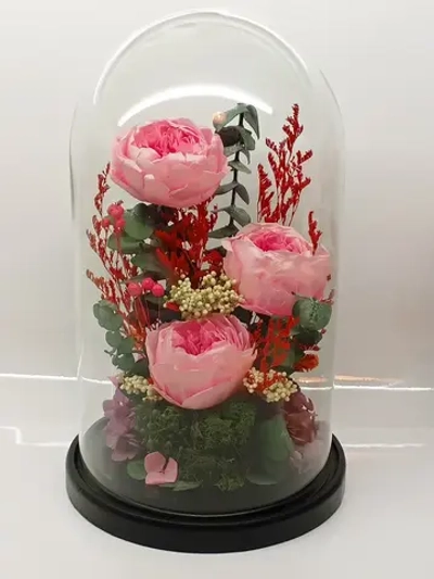 натуральные пионы в стекле