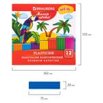 Пластилин классический BRAUBERG "МАГИЯ ЦВЕТА NEW", 12 цветов, 240 г, стек, ВЫСШЕЕ КАЧЕСТВО, 106426