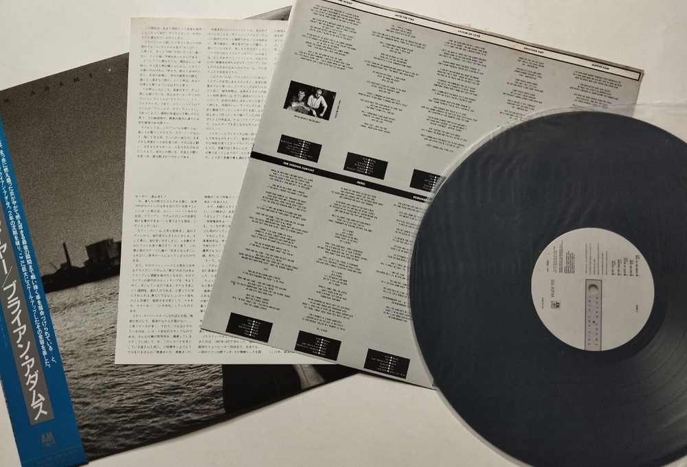 Винтажная виниловая пластинка LP Bryan Adams Into The Fire (Japan 1987) (Obi)