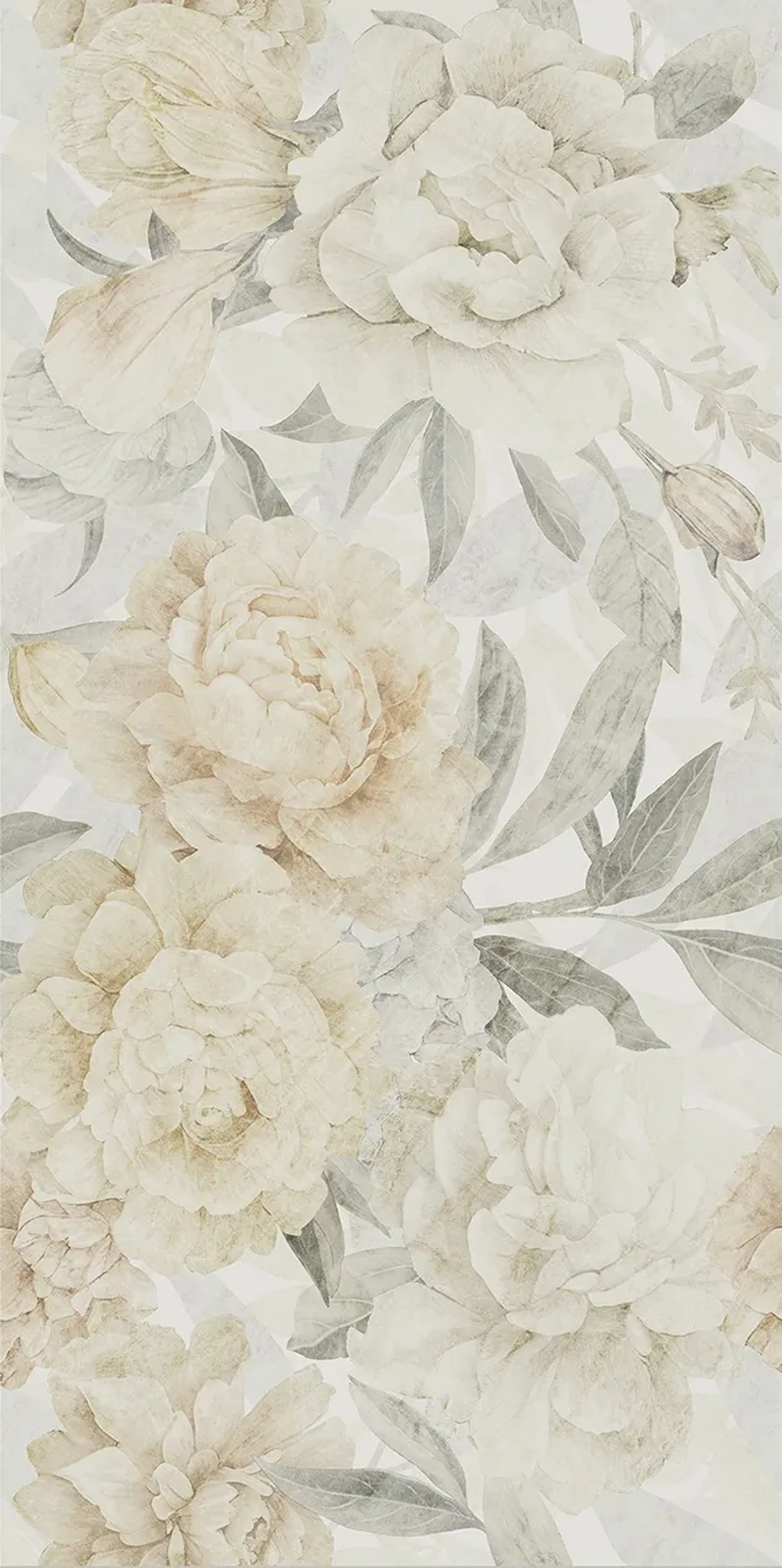 Oyster Decoro Rose Mix Ret 60х120