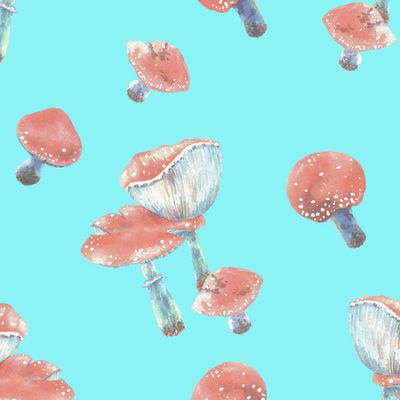 Акварельные мухоморы