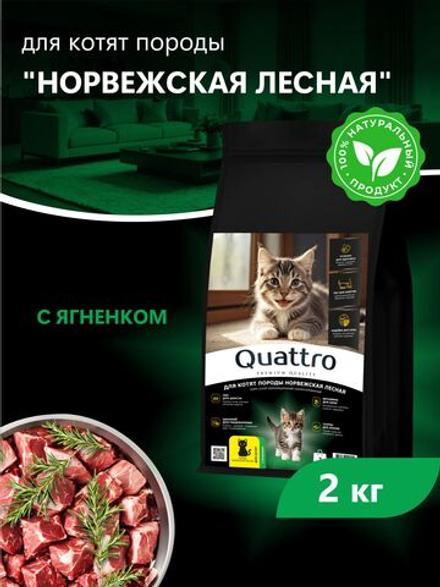 Корм сухой для котят породы Норвежская лесная, с ягненком, 2кг, QUATTRO