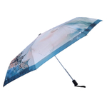Зонт Fabretti UFLR0043-9