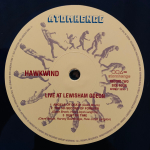 Hawkwind / Levitation (Coloured Vinyl)(3LP)