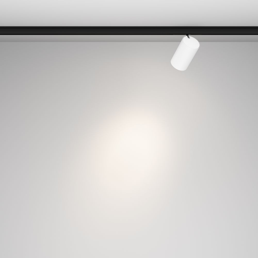 Трековый магнитный светодиодный светильник Maytoni Levity   TR187-1-5W4K-M-BW