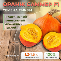 ОРАНЖ САММЕР F1 семена тыквы (Enza Zaden | Alexagro)