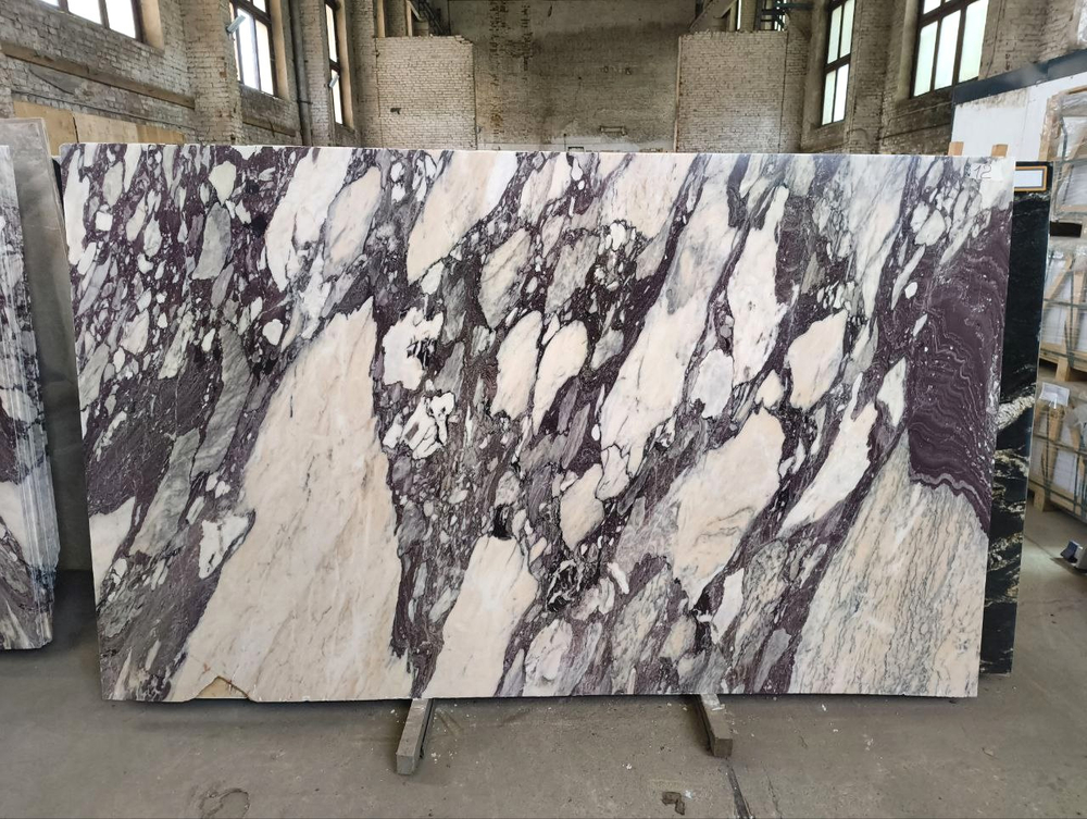 Каллаката Виола