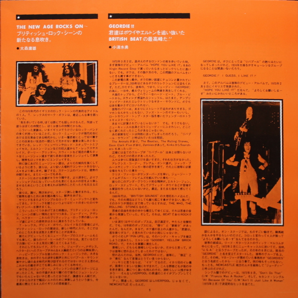 Geordie / Hope You Like It (LP)