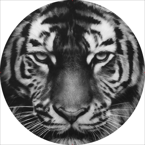 Чехол запасного колеса Skyway Тигр R16/17 D=77см экокожа/полиэстер