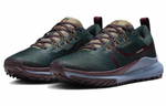 Кроссовки Nike Pegasus Trail 4 (Женская размерная сетка)