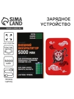 Зарядное устройство «Маска», 5000мА