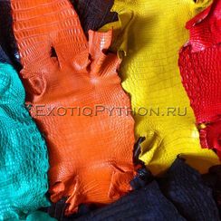 Кожа крокодила SK-18