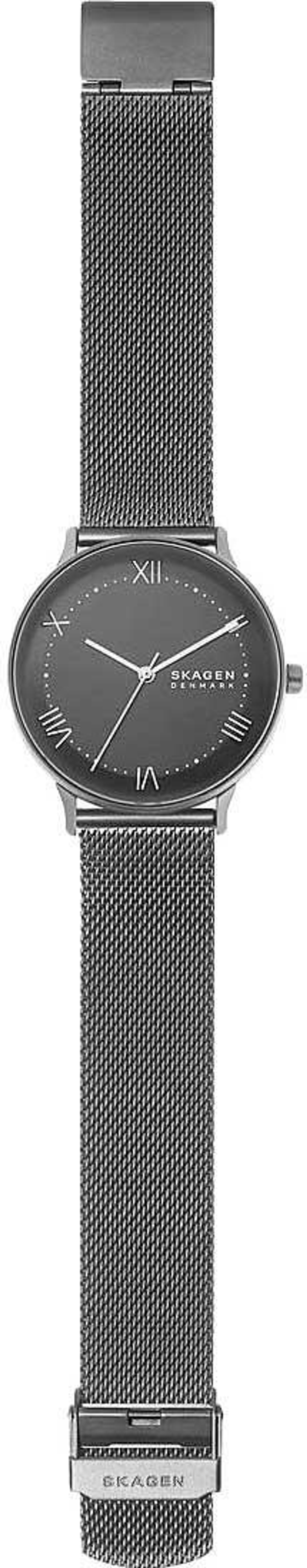 Мужские наручные часы Skagen SKW6624