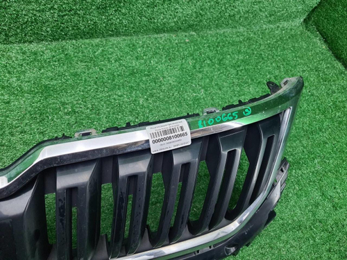 Решетка радиатора Skoda Kodiaq (2016-2022)