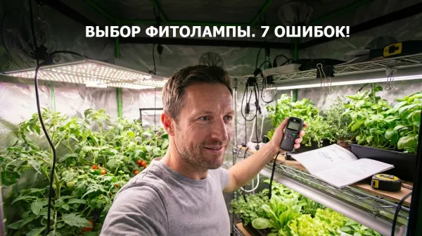 Выбор фитолампы: 7 ошибок со спектром, расстоянием и перегревом Выбор фитолампы: 7 ошибок со спектром, расстоянием и перегревом