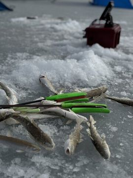 Удилище HIGASHI Combo Fina Fluo Green