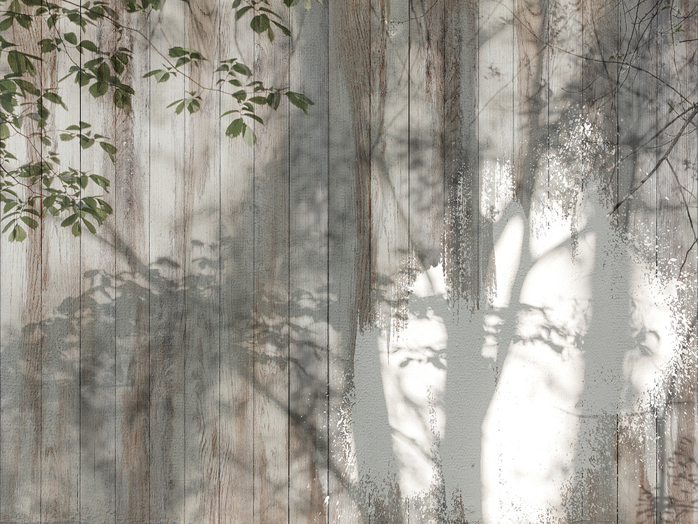 Коллекция VETVE 22