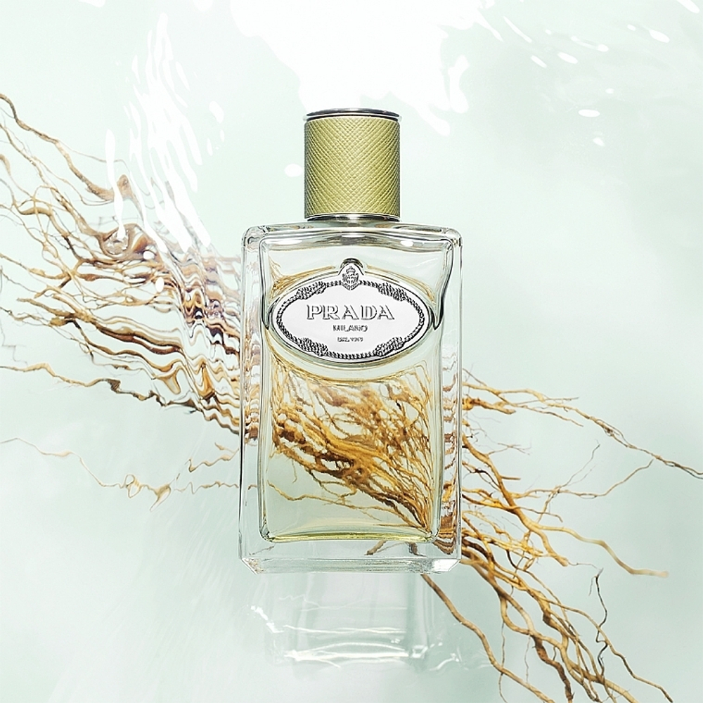 Infusion vetiver cheap