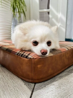 Лежак для собак ортопедический 70*50см