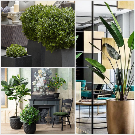 Искусственные растения