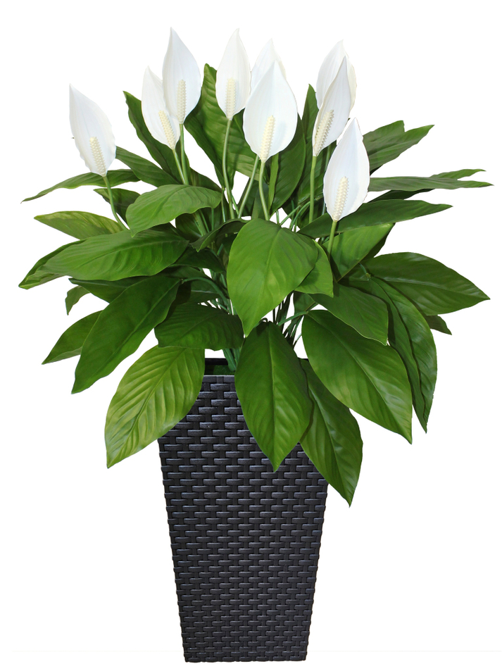 Искусственные цветы Спатифиллум в коричневом кашпо ротанг 51см