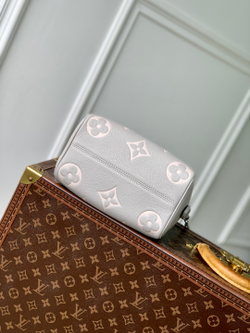 Louis Vuitton Speedy 20