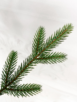 Ель TreeDeLuxe Русская премиум 100% литая 260см зеленая