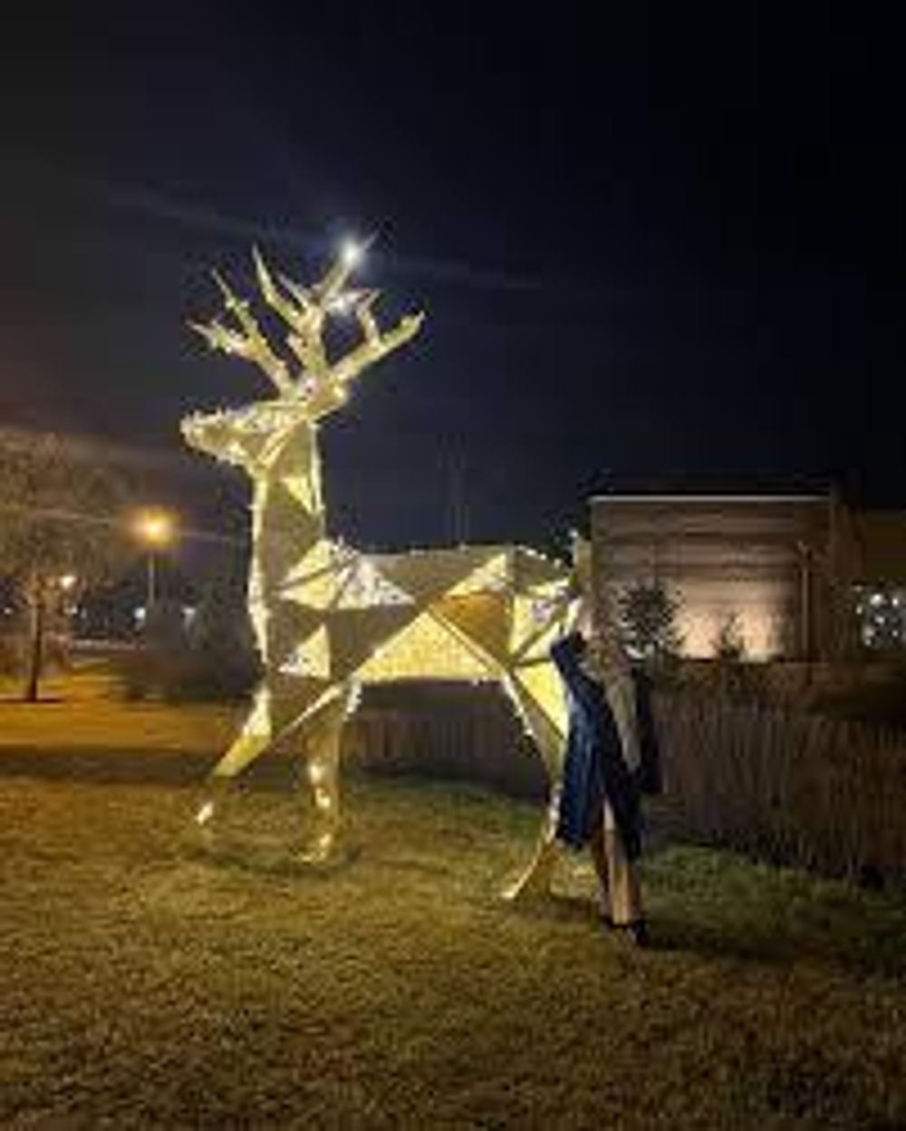 Полигональный светодиодный "Олень золотой" 4 м