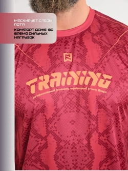 Костюм компрессионный шорты и футболка для тренировок