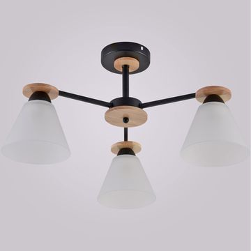 01625-0.3-03 BK+WOOD светильник потолочный