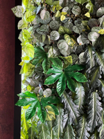 Вертикальное озеленение искусственными растениями автосалона «100 машин»