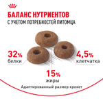 Royal Canin Fit 32 Корм сухой сбалансированный для взрослых умеренно активных кошек 0,4 кг
