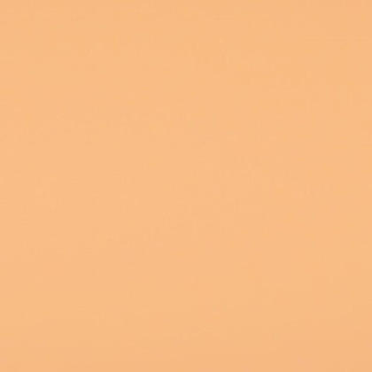 Фон бумажный FST 2,72х11 1029 Natural (Телесный)