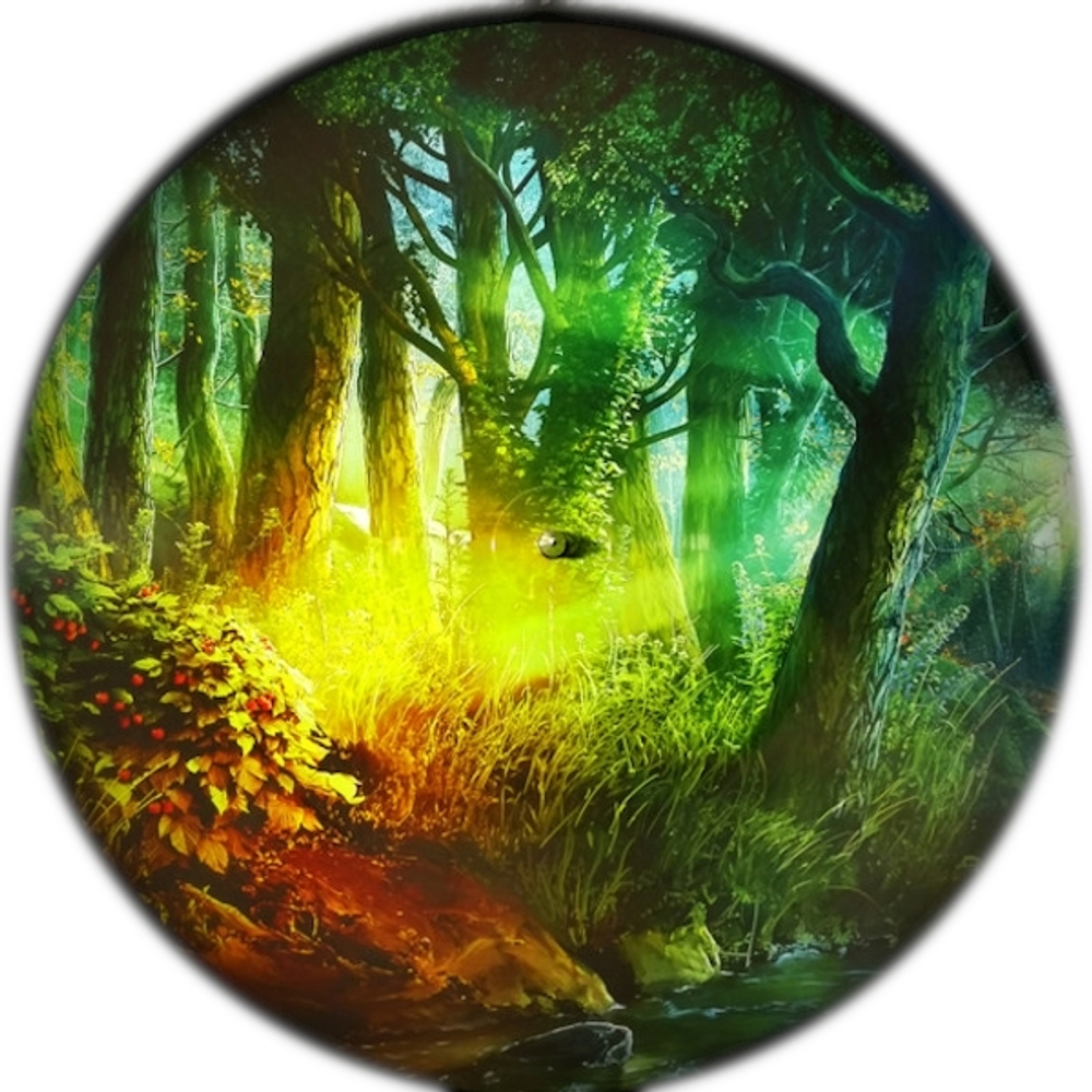 Wintersun / The Forest Seasons (Box Set)(Picture Disc)(2LP+3CD)