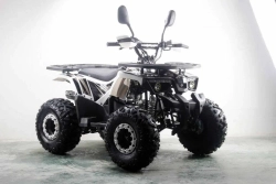 Квадроцикл MOTAX ATV Grizlik Premium 125cc