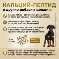 Кальций пептид 20+, Регулятор баланса кальция. "Серебряный След"