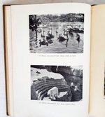 "Архитектура парков СССР". Сост. М.П. Коржев и М.И. Прохорова 1940 г.