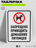 Табличка "Запрещено приводить домашних питомцев" на дверь и забор, для двора, дома, подъезда, 40х30 см, Silver Plane x Айдентика Технолоджи