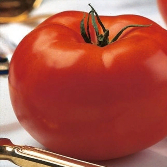 Волверин F1 семена томата детерминантного (Syngenta / ALEXAGRO) культура – фото 3