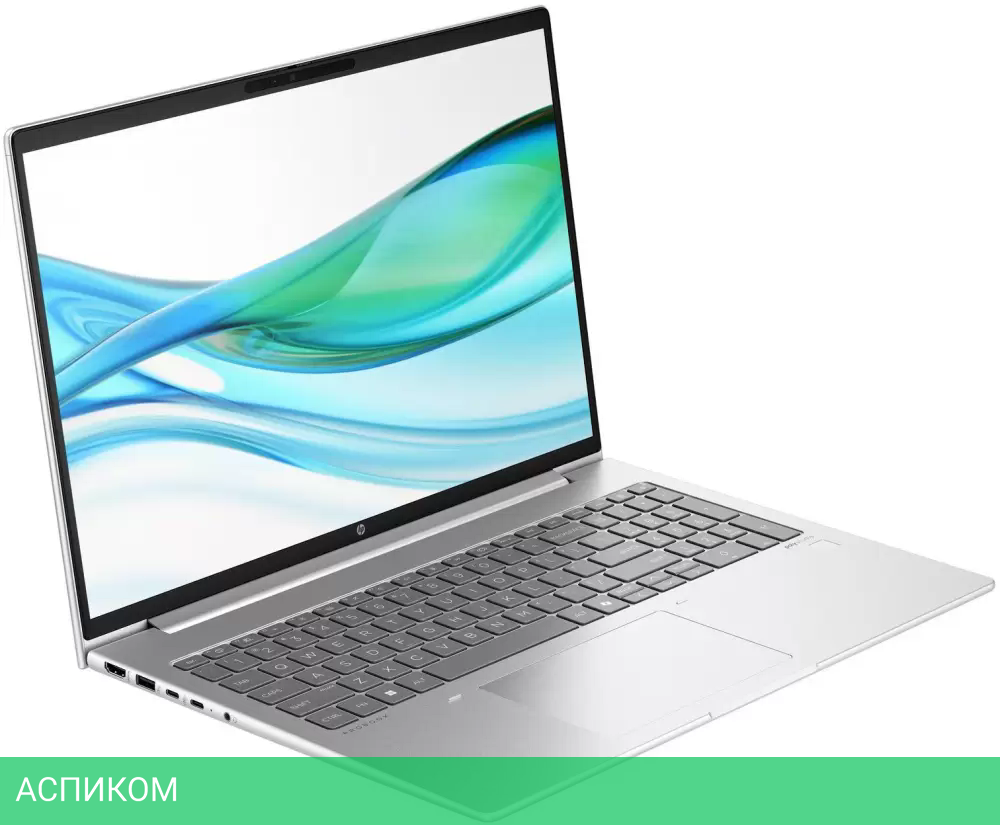 Ноутбук HP Probook 465 G11 (901H4AV)