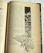 "По белу свету. Очерки и картины из путешествий по трем частям Старого света". А.В. Елисеев. 1904г. - редкая книга