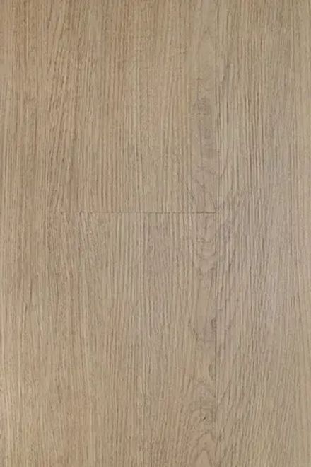 Gaudi G008, 2,196 м²