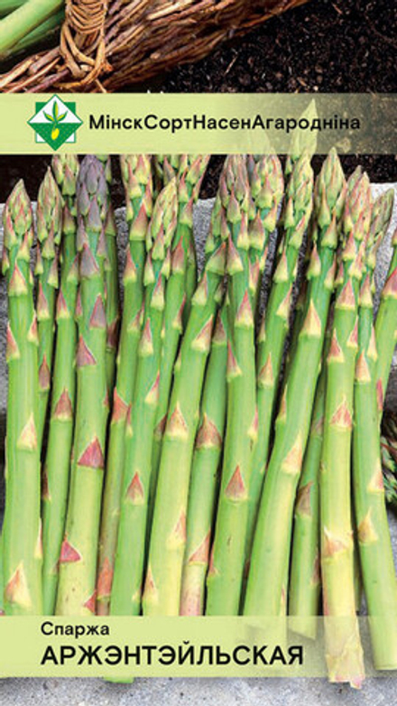 Спаржа "Аржентейльская" 0.5г, Германия.