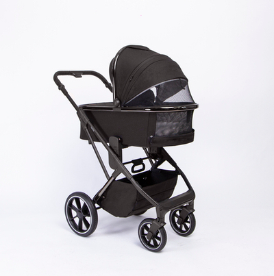 Коляска Peppy Tecla 2в1 рама Chrome (хром)