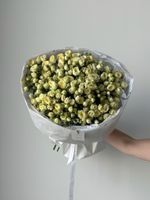 Букет моно из кустовых роз 25 шт в светло-желтом оттенке