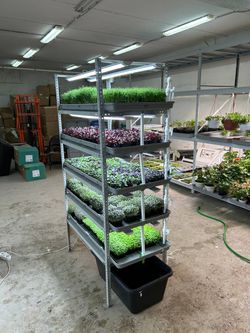 Гидропонная Установка Настенька