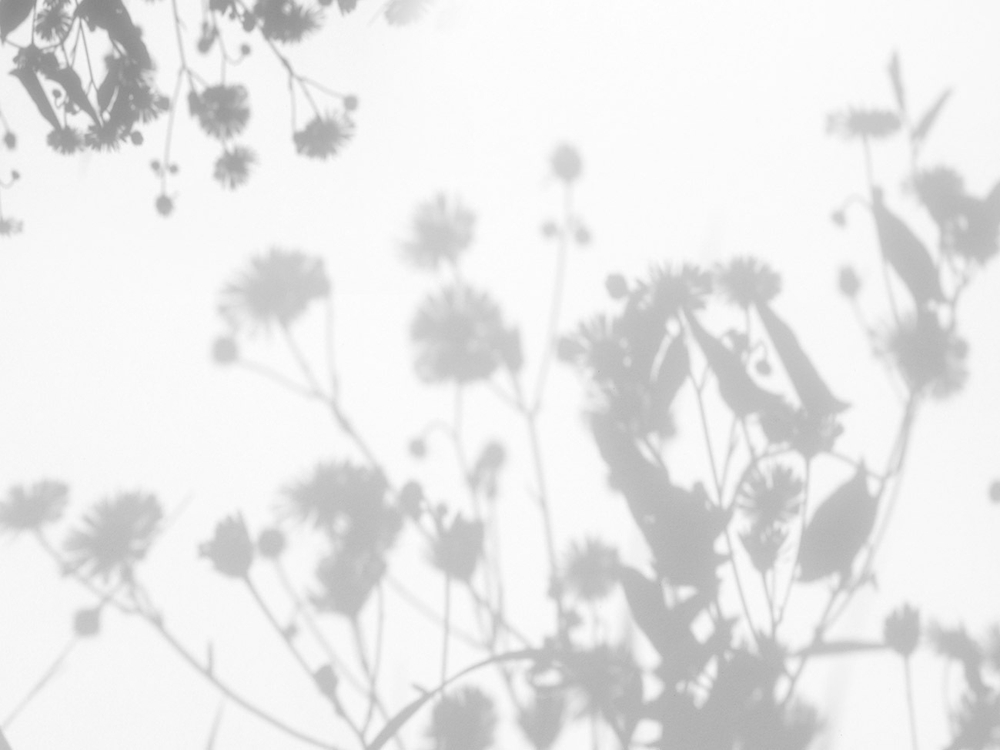 Дизайнерские обои Wall Street Vetve-22