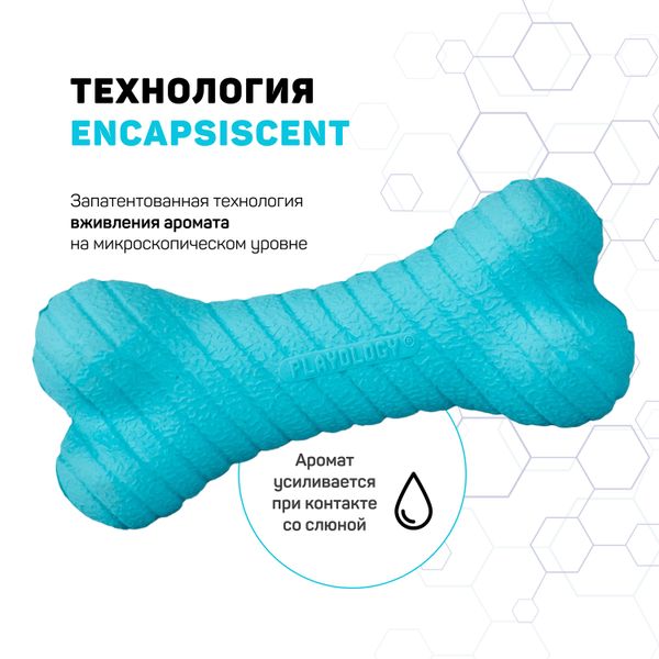 Двухслойная жевательная косточка Playology DUAL LAYER BONE для собак средних пород с ароматом арахиса, средняя, цвет голубой