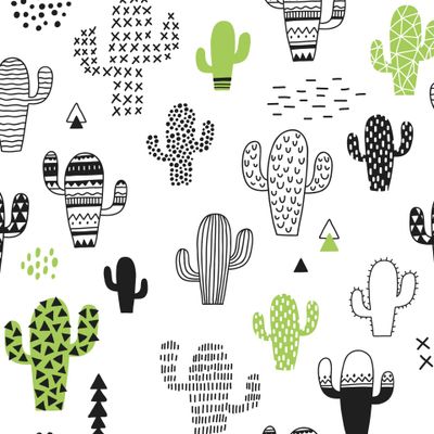 кактусы паттерн