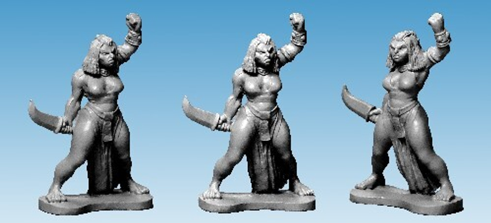 FW3002  Evil Priestess